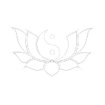 fleur de lotus Reflex Zen